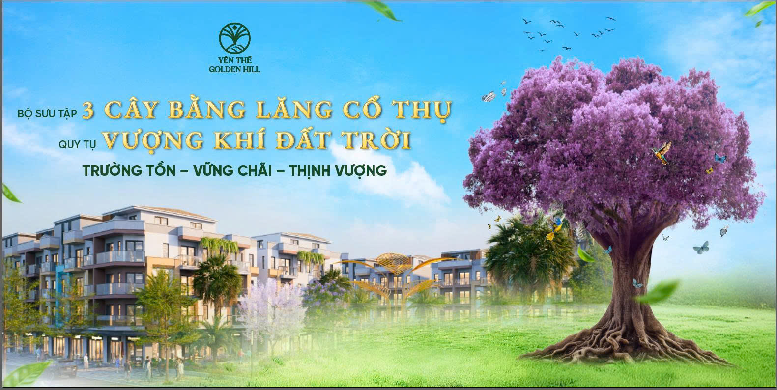 cây cổ thụ bằng lăng tại dự án yên thế golden hill